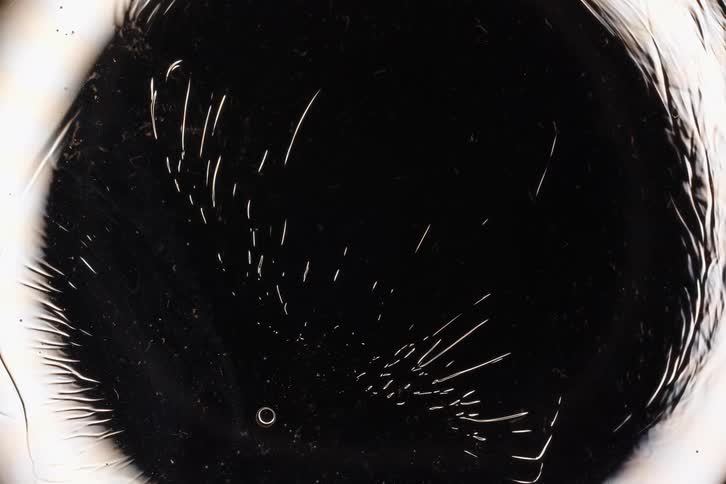 Abstract macro shot of magnetic iron filings aligning and forming intricate patterns under the influence of a magnetic field