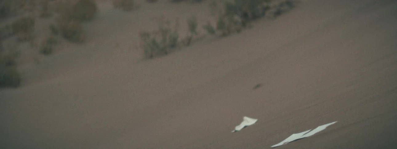A piece of white paper tumbles across the desert sand, blown by the wind