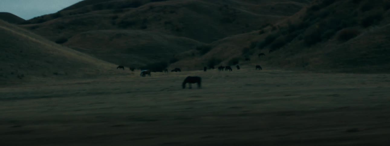 A passing view of a herd of horses grazing peacefully in a vast field amongst rolling hills at dusk