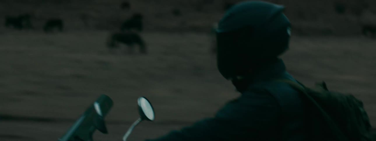 A solo motorcyclist wearing a backpack rides through a dusky, rural landscape as animals graze in the background