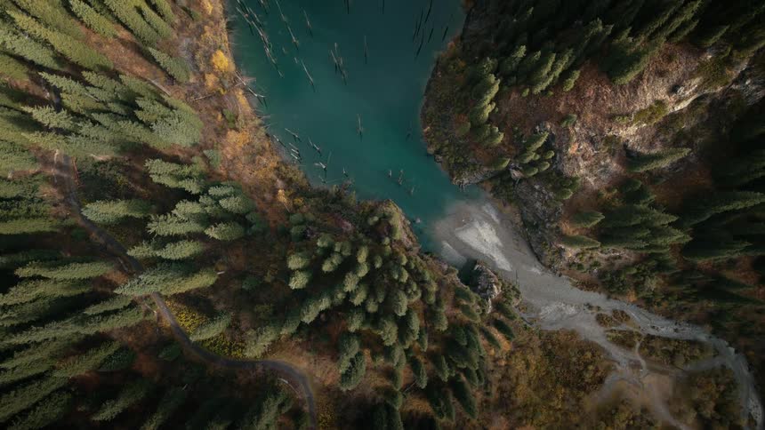A stunning top-down aerial shot reveals a turquoise mountain lake with a unique sunken forest surrounded by lush green pine trees