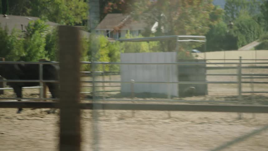 A tracking shot from a moving vehicle passes by a dusty ranch, revealing several horses in their corrals on a sunny day