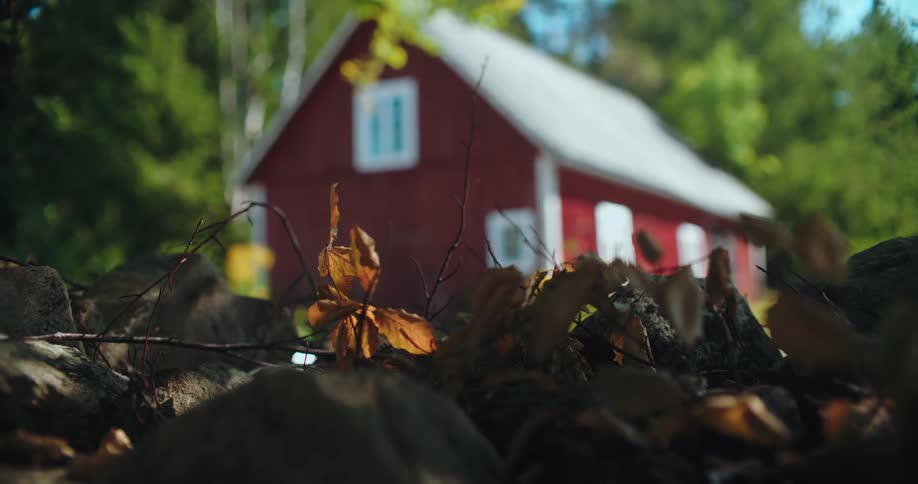 Fallen autumn leaves rest on rocky ground with a charming red country house blurred in the sunny, wooded background
