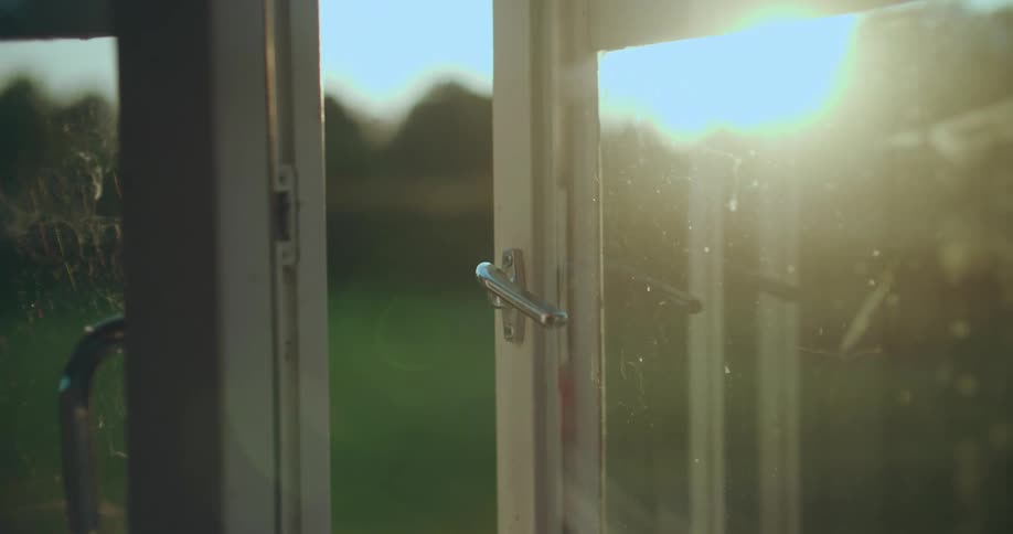 Golden sunlight streams through an open, dusty glass door into a greenhouse during a peaceful sunset