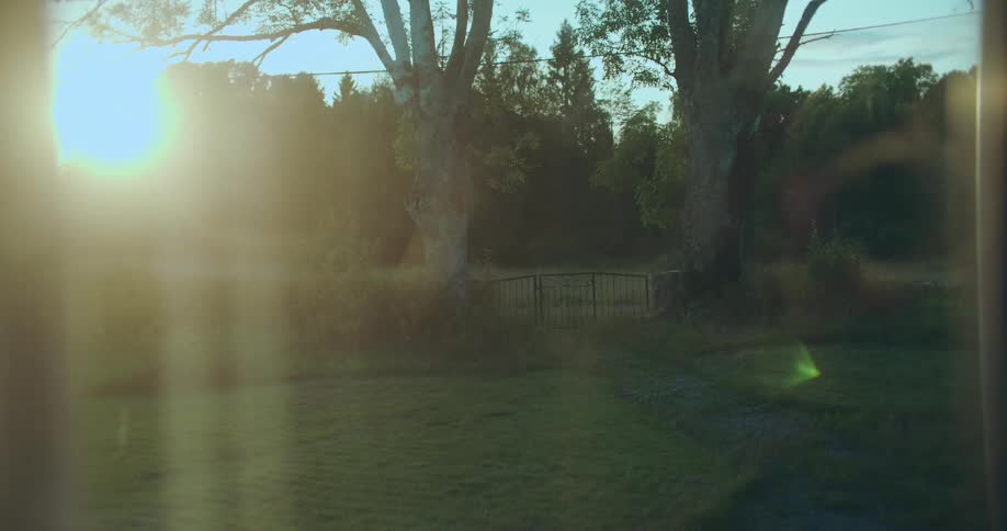 A serene timelapse of the sun setting over a rustic country yard with large trees, viewed from inside a house