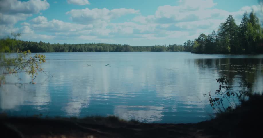 A serene view of a calm lake reflecting the blue sky and clouds, surrounded by a lush forest