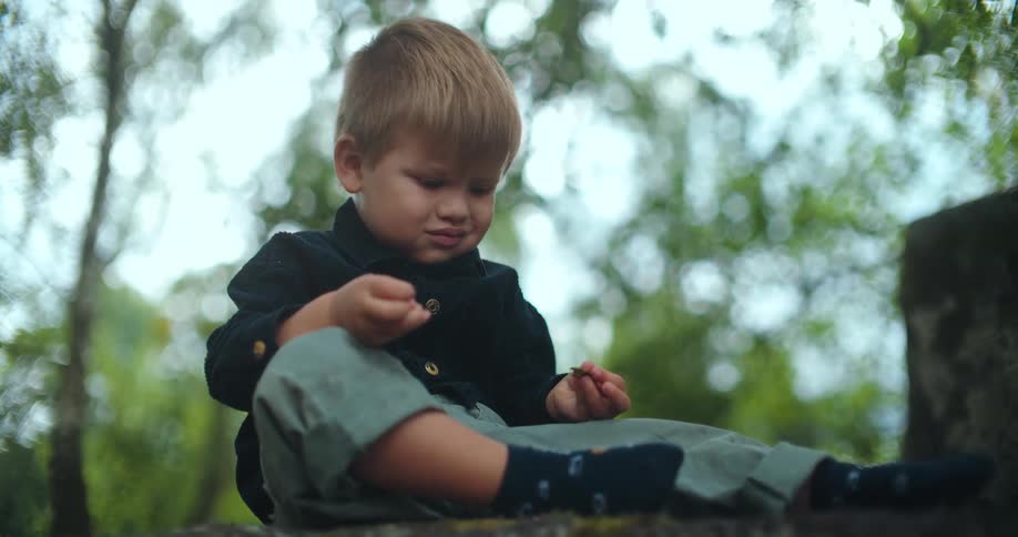 A focused toddler sits peacefully on a stone ledge outdoors, carefully examining a small object in his hands