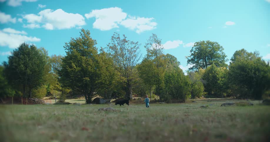 A toddler and a large black dog run and play together in slow motion across a wide green field on a beautiful sunny day