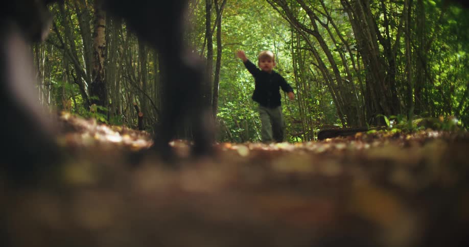 A low-angle shot captures a toddler running joyfully down a forest path as his dog walks past the camera