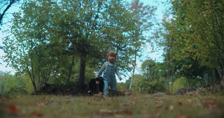 Slow motion of a cute toddler in overalls walking towards the camera in a forest while dragging a stuffed monkey