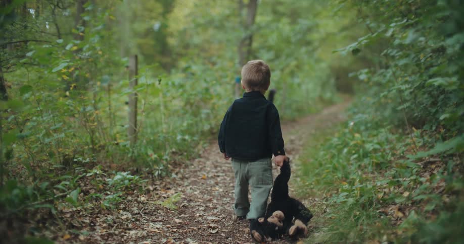 A young boy drags his stuffed monkey along a forest path while his black dog walks ahead