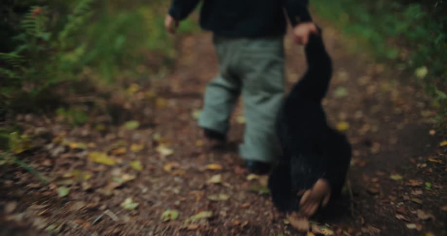 Cinematic slow-motion shot of a young boy exploring a green forest, dragging a stuffed gorilla by the hand