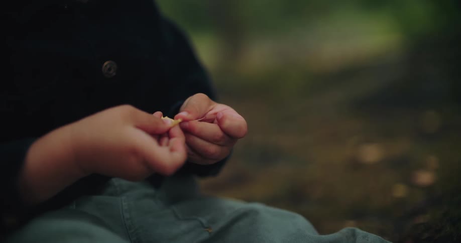 In slow motion, a small child's hands curiously explore the delicate texture of a tiny leaf found on the forest floor