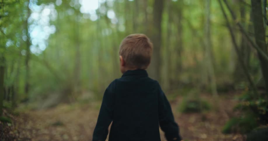 A young boy walks away through a beautiful autumn forest while dragging his stuffed gorilla along the leaf-covered path