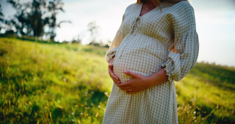 An expectant mother lovingly cradles her pregnant belly in a peaceful, sun-kissed field