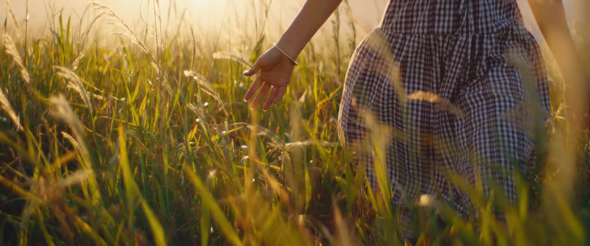 A woman's hand glides through a field of tall grass during a beautiful golden hour sunset