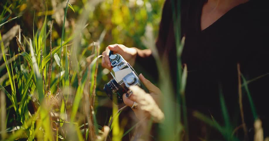 A woman's hands adjust the settings on a vintage film camera while sitting in a sunny field of tall grass