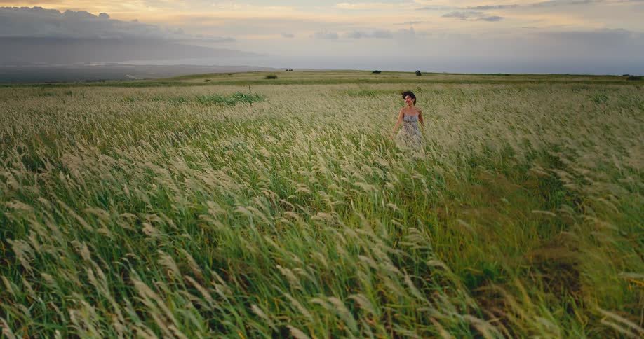 A beautiful woman in a summer dress walks through a windy field of tall green grass at sunset in slow motion