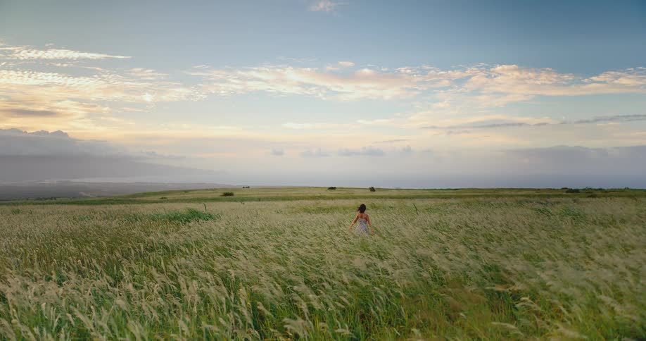 A woman in a dress walks through a vast field of tall grass blowing in the wind at sunset with the ocean in the distance