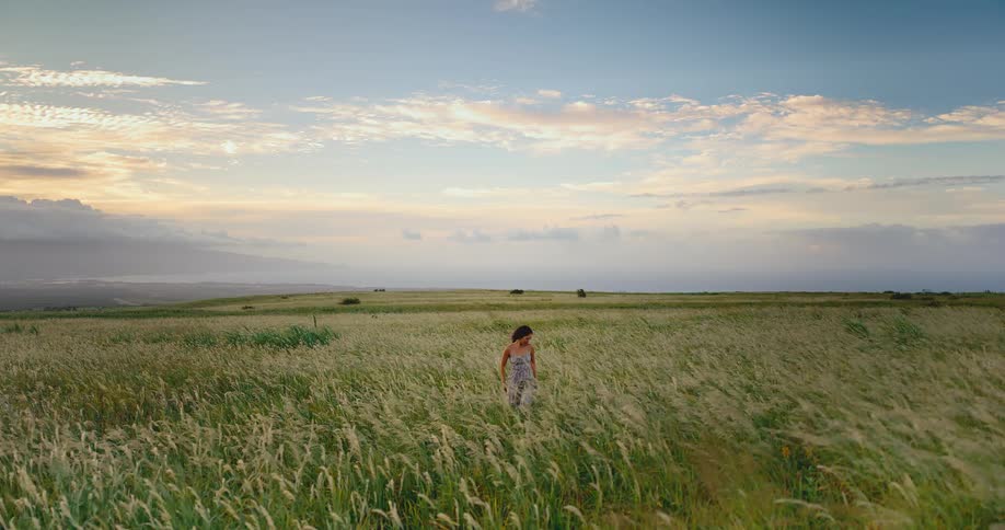 A beautiful woman in a summer dress walks in slow motion through a windy field of tall grass at sunset