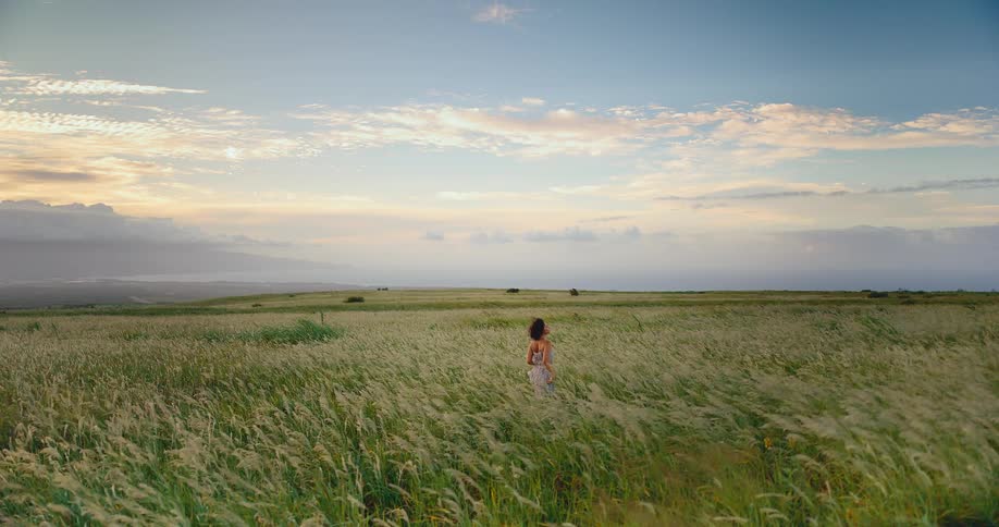 Beautiful woman in a dress walks through a windy field of tall grass in slow motion at sunset with the ocean in the distance