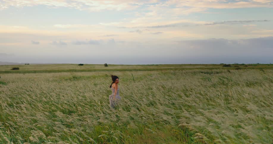 A beautiful woman in a summer dress walks through a serene, windy field of tall grass at dusk
