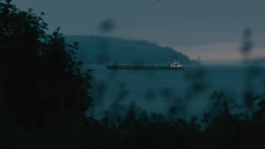 An illuminated cargo ship floats on the calm sea at dusk, viewed through dark foliage in the foreground