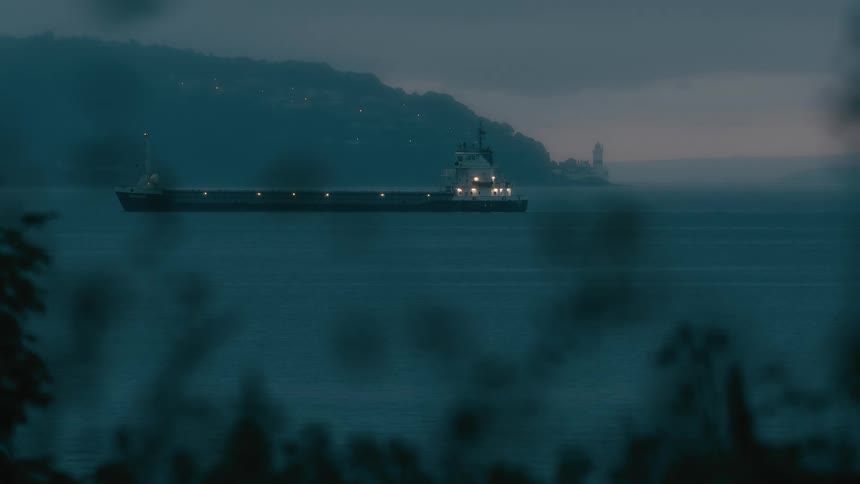 A cargo ship with lights aglow is anchored on the dark, calm sea at dusk as a seagull flies by