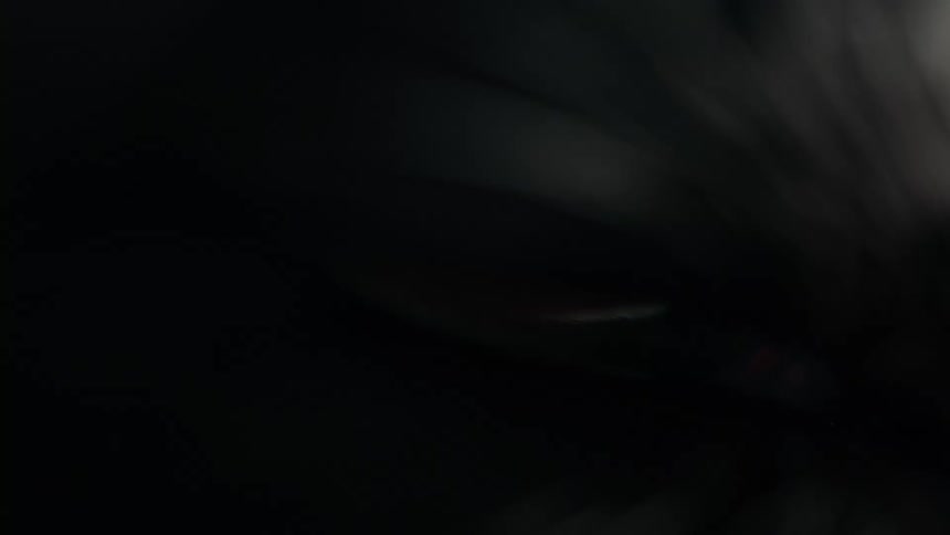 An extreme macro close-up shot captures the intense, mesmerizing eye of a black cat blinking slowly in the darkness