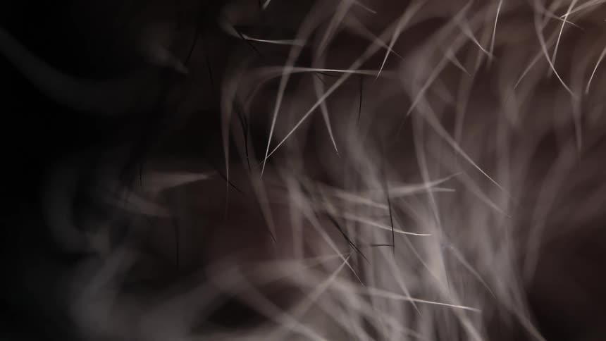 An abstract macro close-up of the fine details and textures of wispy grey hair
