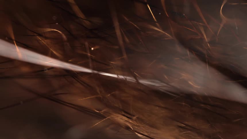 Extreme macro shot of individual hair strands with a stark light beam highlighting the texture and color