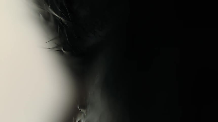 A dark, inky substance with fine tendrils slowly bleeds and expands across a pale background in an abstract macro shot