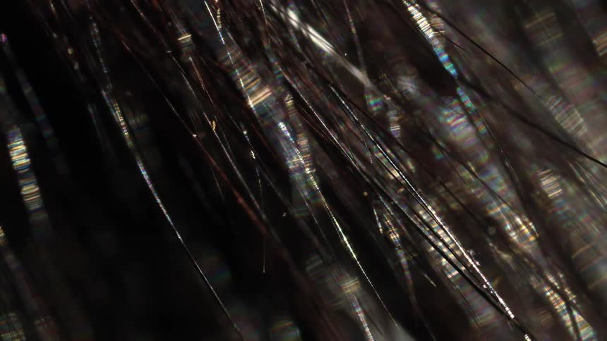 An abstract macro shot of dark hair refracting light, creating a shimmering, iridescent rainbow effect