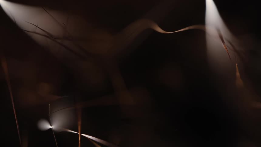 Ethereal abstract background of blurred organic shapes and soft, glowing light in the dark