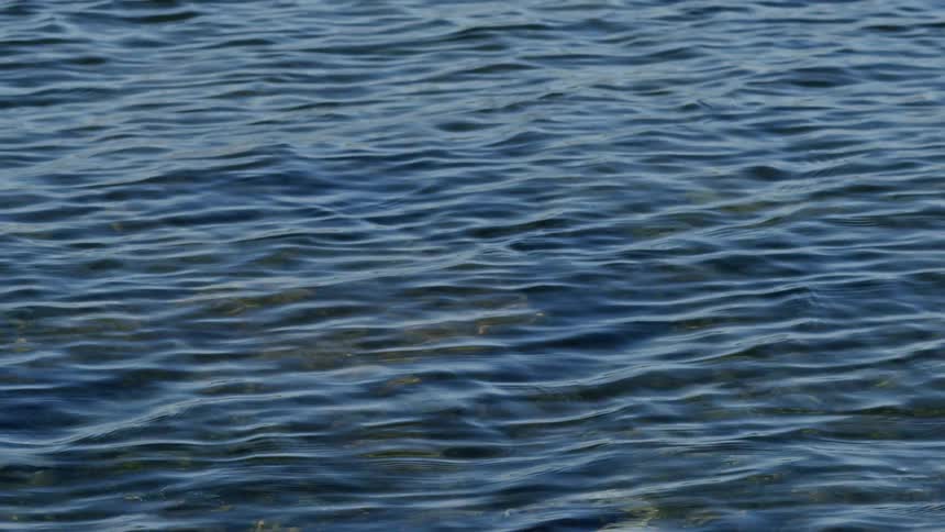 Gentle blue ripples create a mesmerizing pattern on the surface of calm water