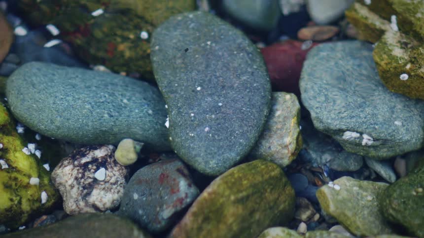 Clear water gently flows over colorful, smooth rocks in a shallow tide pool