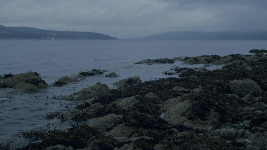 Gentle waves lap against a rocky shoreline covered in seaweed under a moody, overcast sky at twilight