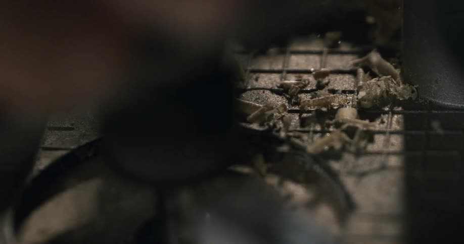 Wood pellets for a smoker or stove are dispensed in a detailed slow-motion close-up