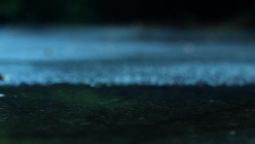 A close-up shot of rain falling on a wet surface with a shallow depth of field at night