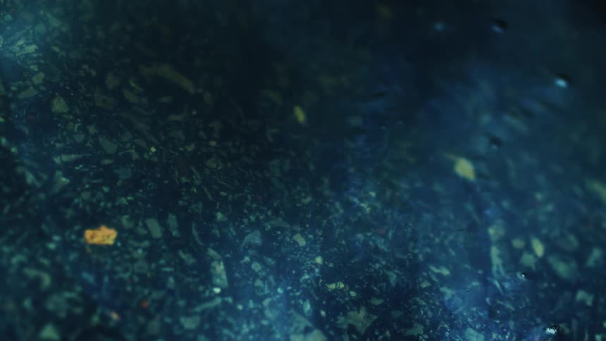 A macro shot of a dark blue oily substance with subtle ripples and light illuminating particles beneath the surface