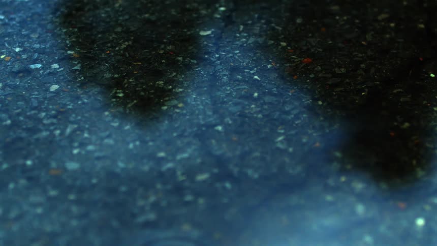 Gentle raindrops create ripples in a dark puddle on a wet asphalt street