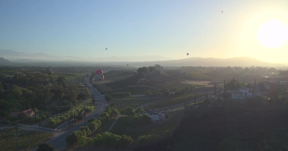 Hot air balloons float over scenic vineyards and rolling hills during a golden sunrise, captured from an aerial perspective