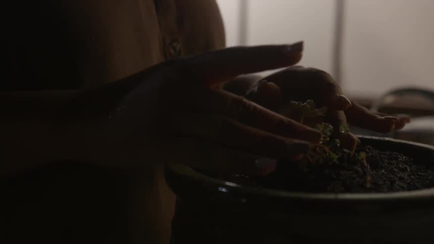 A woman puts some water in a pot