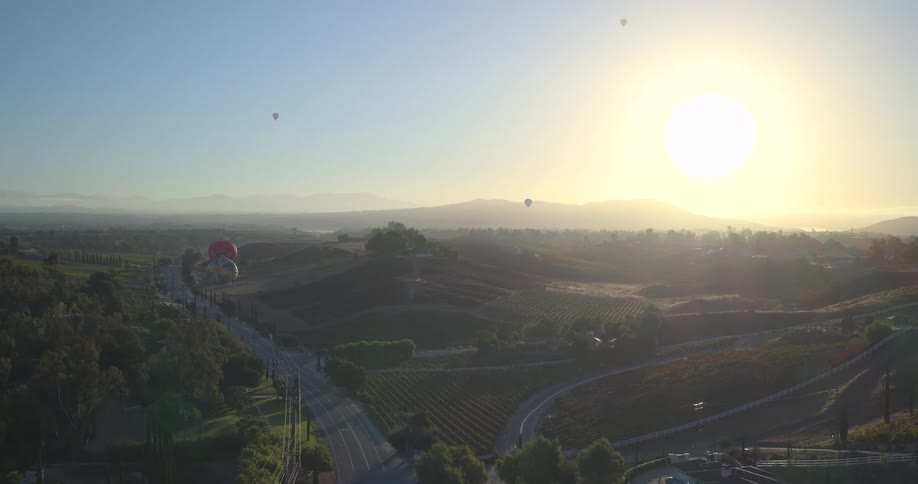 A serene aerial view shows hot air balloons drifting over lush green vineyards and rolling hills at sunrise