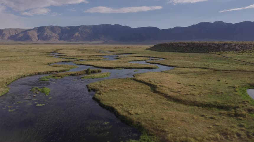 An aerial drone flies over a tranquil, winding river in a lush green valley, with a majestic mountain range in the distance as a white bird soars across the landscape