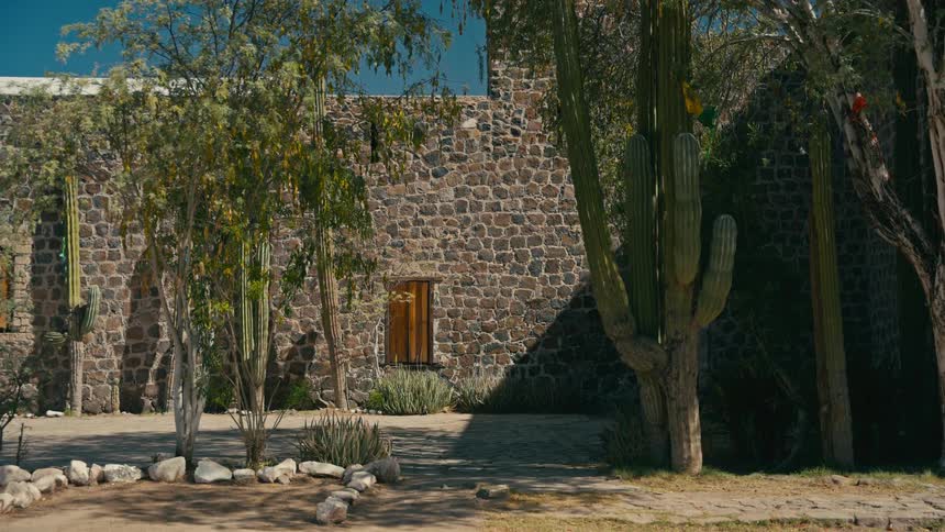 A sun-drenched courtyard features a rustic stone building surrounded by tall cacti and desert plants