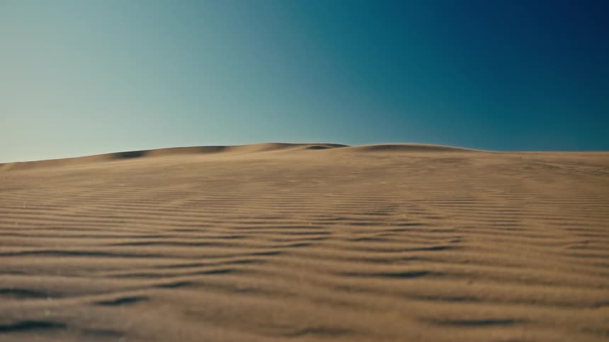 Wind blows over the ripples of a desert sand dune underneath a clear blue sky