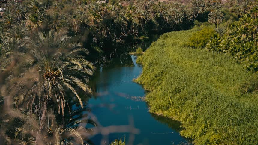 A beautiful high-angle view of a tranquil river winding through a lush oasis filled with palm trees