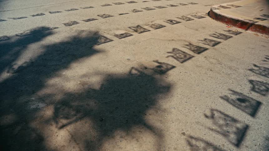 Shadows of decorative papel picado flags and a swaying tree dance on a sunlit street corner