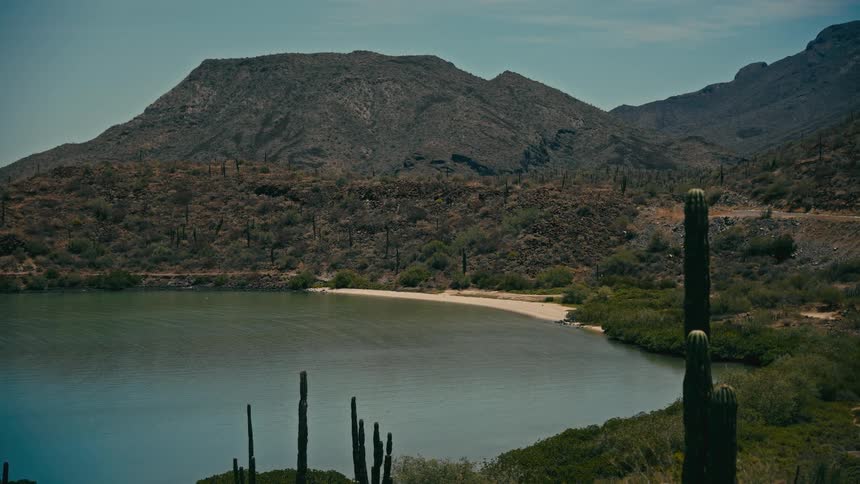 A serene view of a secluded desert bay surrounded by arid mountains and cacti